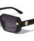 KLEO Lion Studs Temple Color Accent Fashion Geometric Wholesale Sunglasses