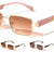 Temple Accent Thin Rim Fashion Rectangle Butterfly Wholesale Sunglasses