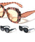 Temple Color Bar Accent Fashion Butterfly Wholesale Sunglasses