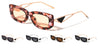 Triangular Temple Cutout Accent Fashion Wide Butterfly Wholesale Sunglasses