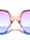 Oversized Geometric Temple Plate Accent Fashion Butterfly Wholesale Sunglasses