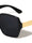 Oversized Geometric Temple Plate Accent Fashion Butterfly Wholesale Sunglasses