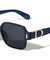Glitter Temple Accent Fashion Squared Butterfly Wholesale Sunglasses