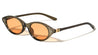 Two Bracket Temple Accent Retro Oval Cat Eye Wholesale Sunglasses
