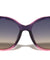 Leaf Shape Temple Accent Fashion Oversized Cat Eye Wholesale Sunglasses