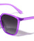 Crystal Color Thin Frame Plastic Cat Eye Fashion Wholesale Sunglasses