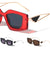 Triangular Temple Cutout Retro Geometric Wholesale Sunglasses