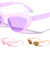 Retro Pastel Color Frame Cat Eye Wholesale Sunglasses