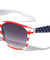 Classic American Flag Spring Hinge Wholesale Bulk Sunglasses